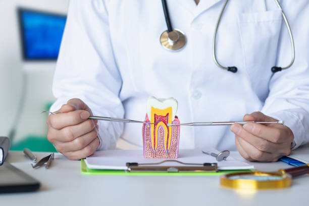 Best Knocked-Out Tooth (Avulsed Tooth) Treatment in Valencia, NM